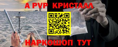 гидра Гатчина