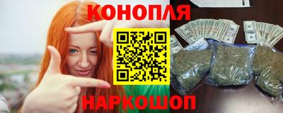 гидра Гатчина