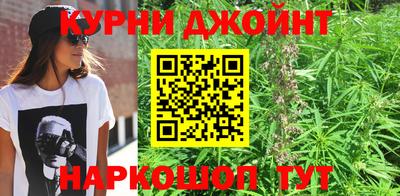 гидра Гатчина
