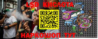 гидра Гатчина