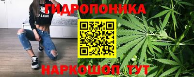 гидра Гатчина