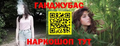 гидра Гатчина