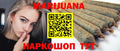 гидра Гатчина