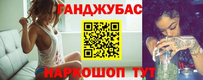 гидра Гатчина