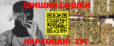гидра Гатчина