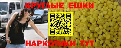 гидра Гатчина